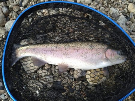 2ヶ月半ぶり釣行